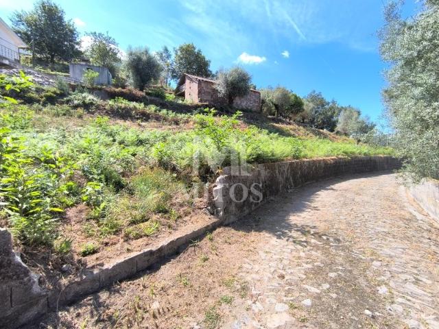Terreno venda em Viana Do Castelo