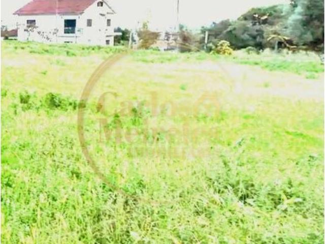 Terreno venda em Geme