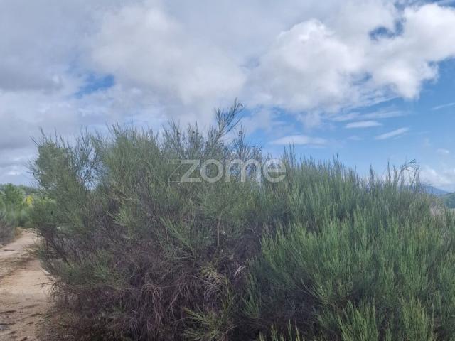 Terreno venda em Alijó, Vila Real