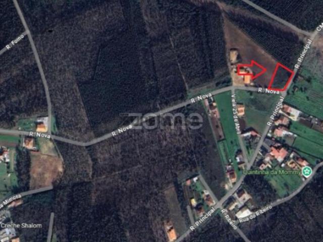 Terreno venda em Vale Domingos, Águeda