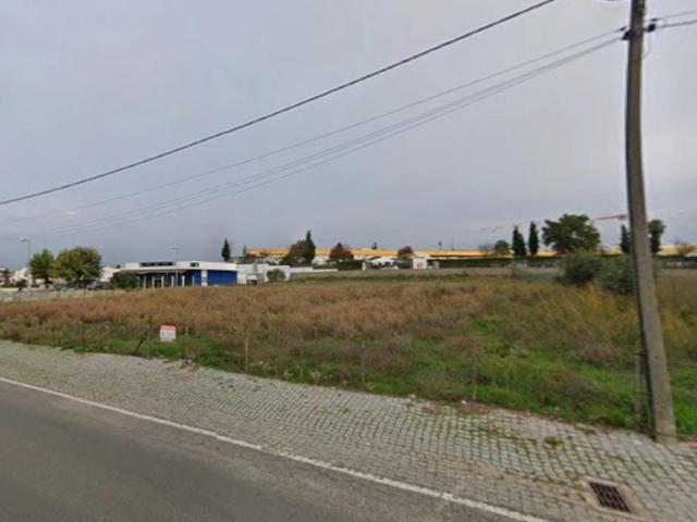 Terreno venda em Alter Do Chão, Portalegre