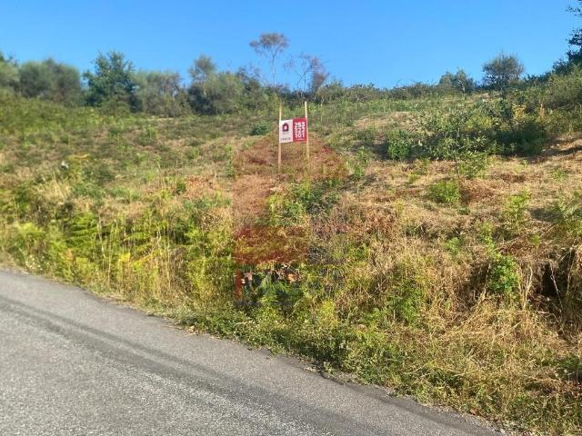 Terreno venda em Vila Verde, Braga