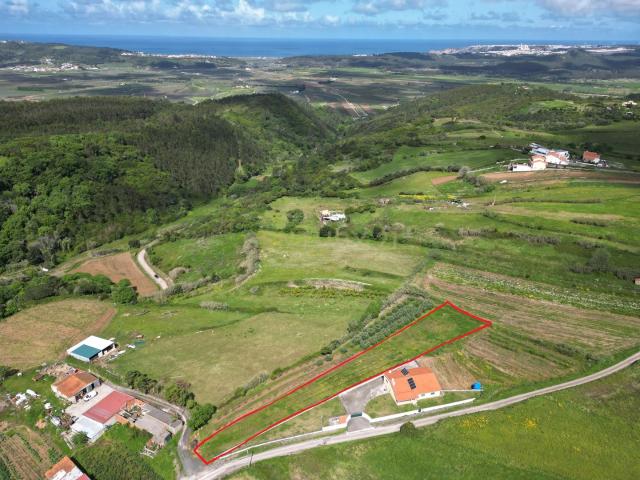 Terreno venda em Alcobaça, Leiria