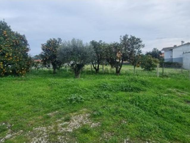 Terreno venda em Leiria