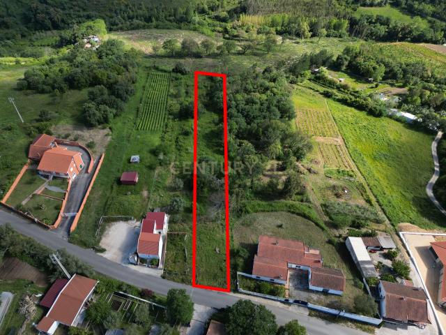 Terreno venda em Alcobaça, Leiria