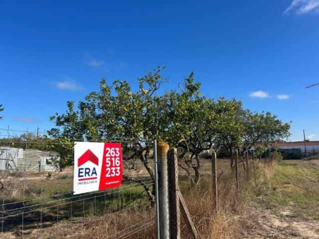 Terreno venda em Benavente, Santarém
