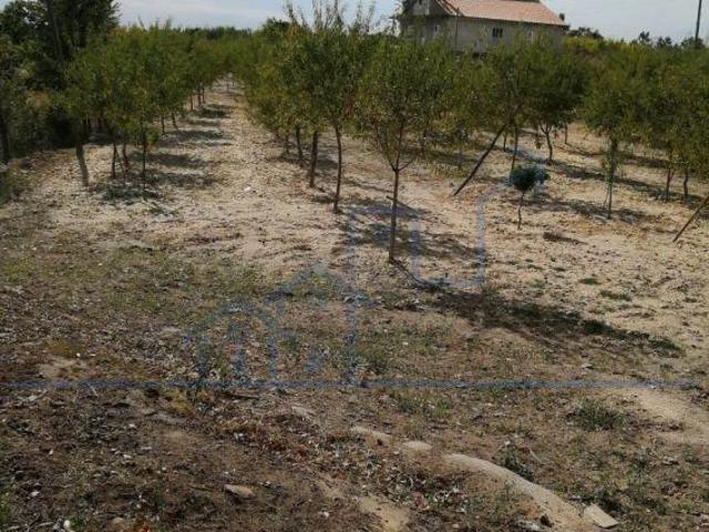 Terreno venda em Torre De Moncorvo, Bragança