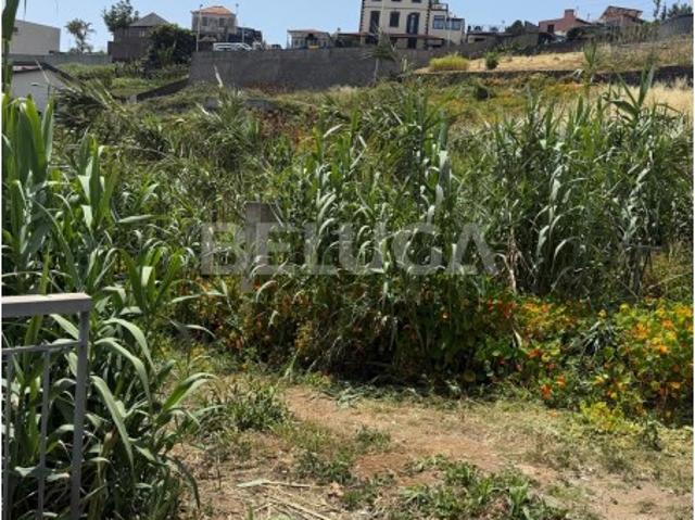 Terreno venda em Funchal, Ilha Da Madeira