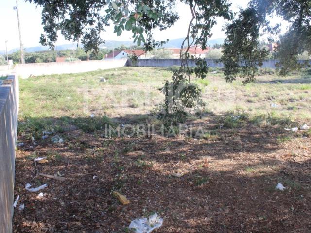 Terreno venda em Calvaria de Cima, Porto de Mós