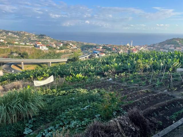 Terreno venda em Câmara De Lobos, Ilha Da Madeira
