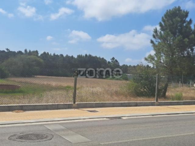 Terreno venda em Cantanhede, Coimbra