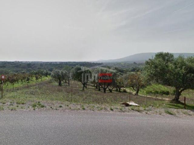 Terreno venda em Torres Novas, Santarém