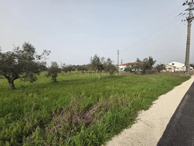 Terreno venda em Pombal, Leiria