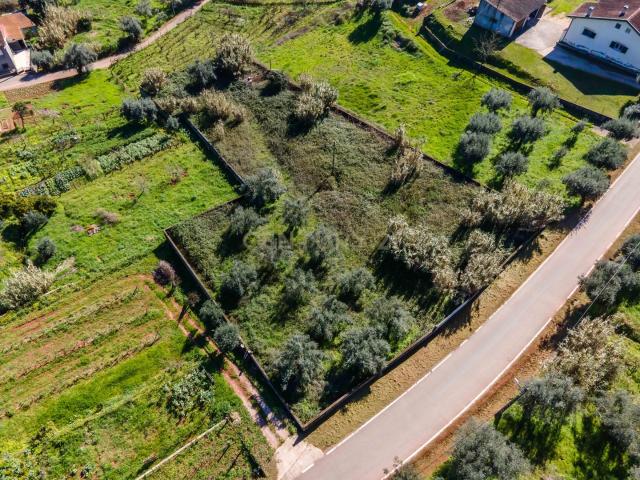 Terreno venda em Coimbrã, Almalaguês