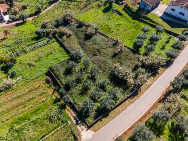 Terreno venda em Coimbrã, Almalaguês