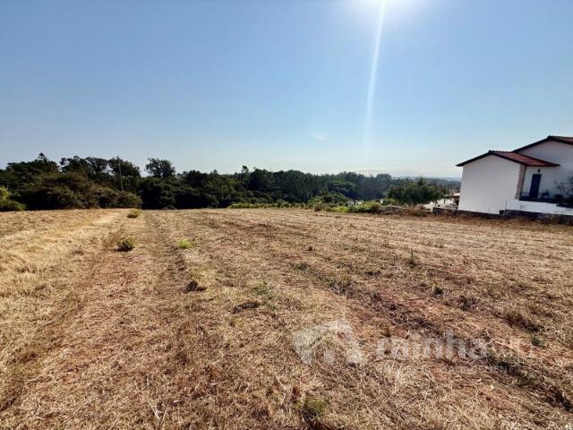 Terreno venda em Pinhal Fanheiro, Alcobaça