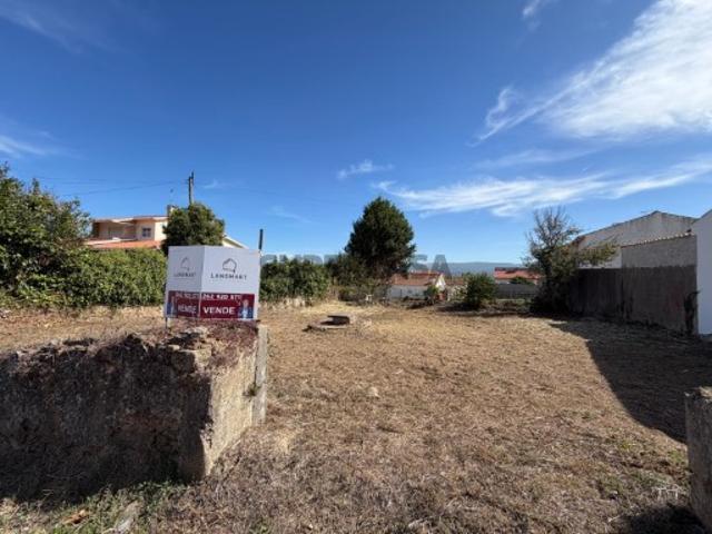 Terreno venda em Benedita, Alcobaça