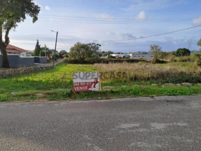 Terreno venda em Alcobaça, Leiria
