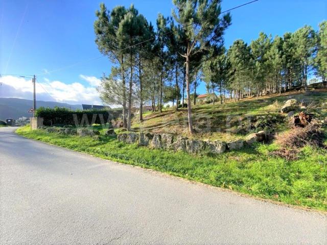 Terreno venda em São Cristóvão De Nogueira, Viseu
