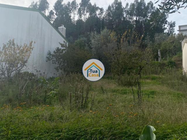 Terreno venda em Coimbrã, Coimbra