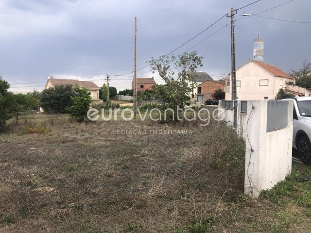 Terreno venda em Leiria