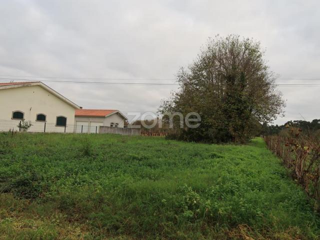 Terreno venda em Oliveira Do Bairro, Aveiro