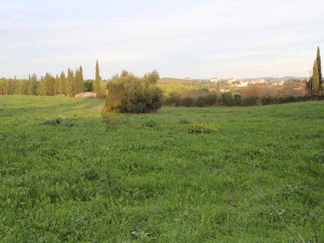 Terreno venda em Madalena e Beselga, Tomar