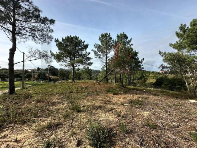 Terreno venda em Mafra, Lisboa