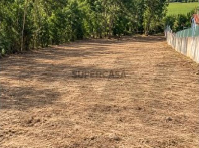 Terreno venda em Santo Varão, Montemor-o-Velho