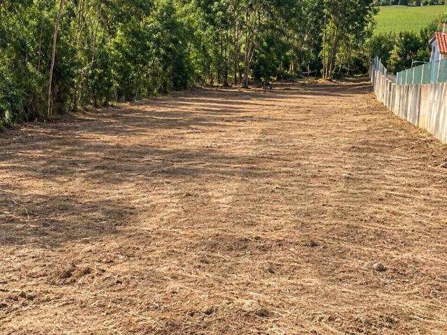 Terreno venda em Santo Varão, Montemor-o-Velho