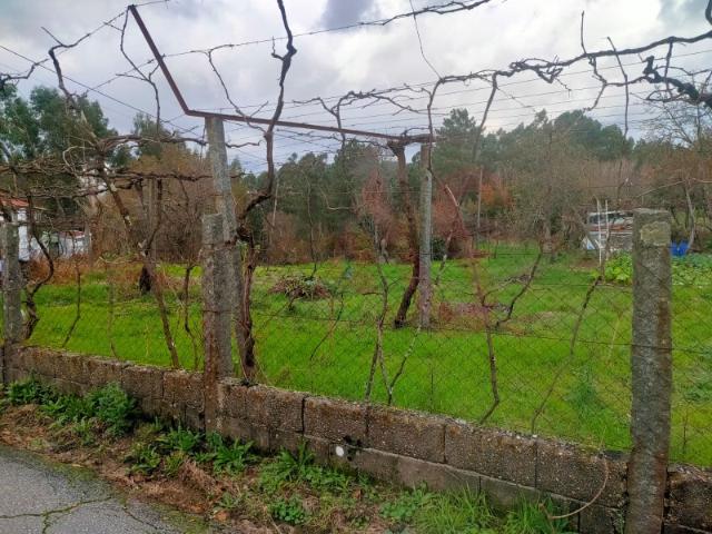 Terreno venda em Chã de Ribeiras, Fafe