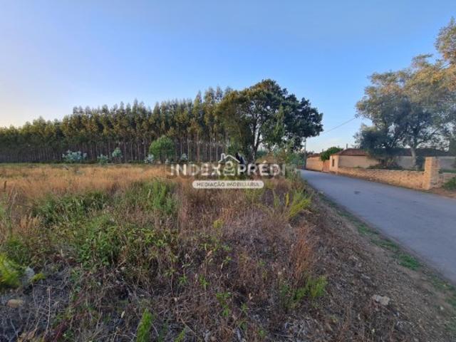 Terreno venda em Águeda, Aveiro
