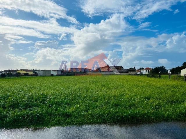 Terreno venda em Loureiro, Oliveira de Azeméis