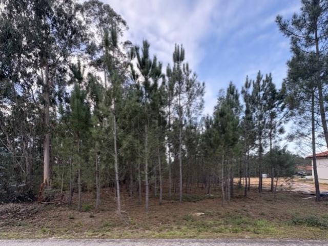 Terreno venda em Pombal, Leiria
