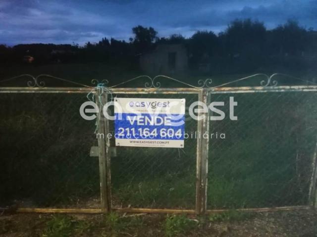 Terreno venda em Coimbrã, Cernache