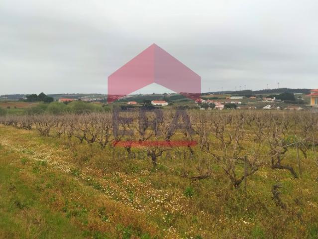 Terreno venda em Moita Dos Ferreiros