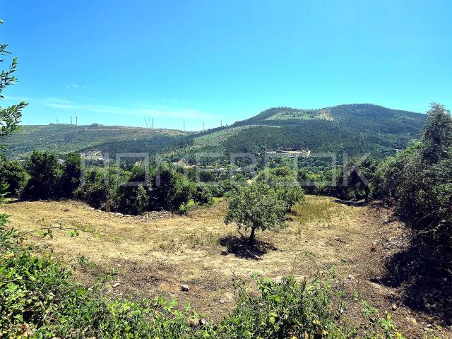 Terreno venda em Mafra, Lisboa