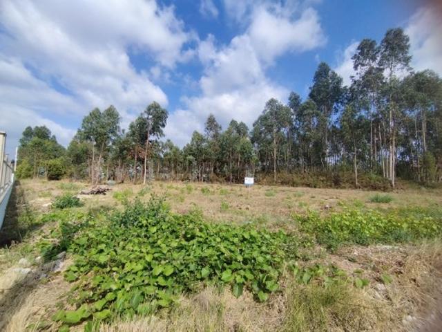 Terreno venda em Oliveira do Bairro, Aveiro