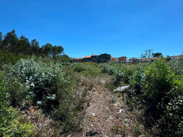 Terreno venda em Santa Maria Da Feira, Aveiro