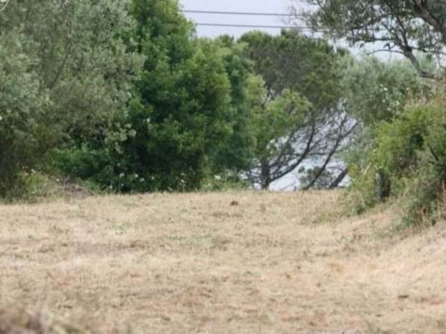Terreno venda em Figueira Da Foz, Coimbra