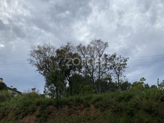 Terreno venda em Quinta do Barão, Águeda