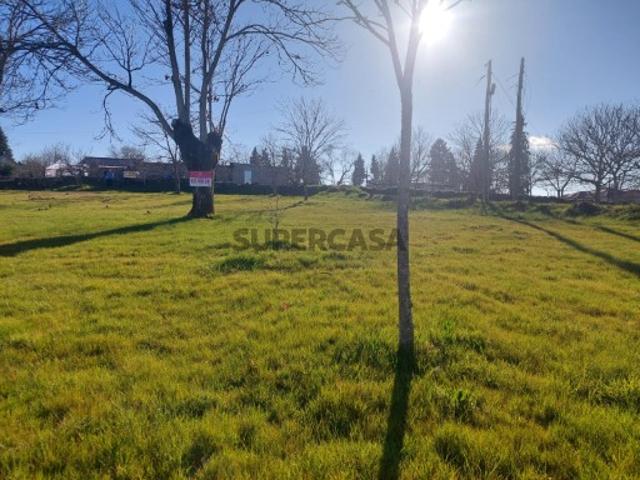 Terreno venda em Afonsim, Vila Real