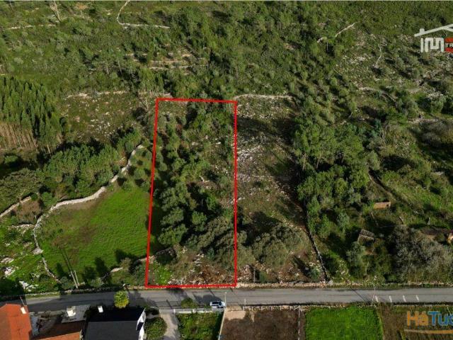 Terreno venda em Batalha, Leiria