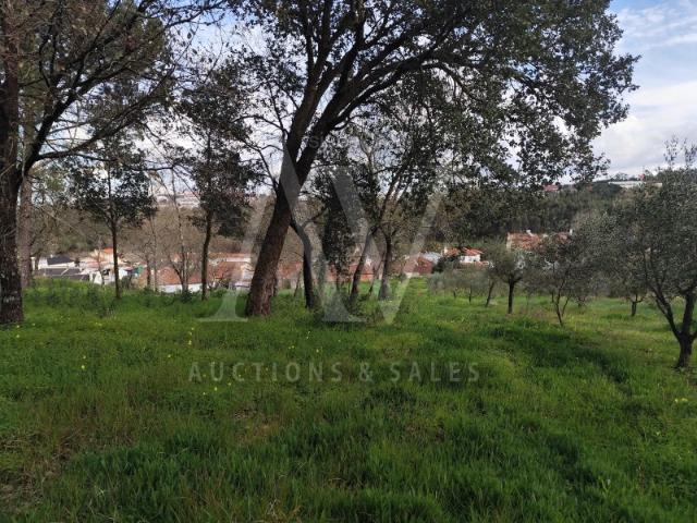 Terreno venda em Parceiros e Azoia, Leiria