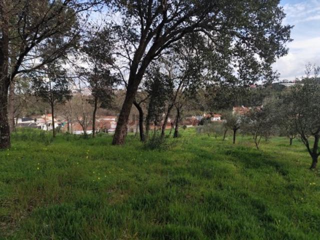 Terreno venda em Parceiros e Azoia, Leiria