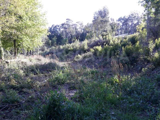 Terreno venda em Arga De Baixo, Viana Do Castelo