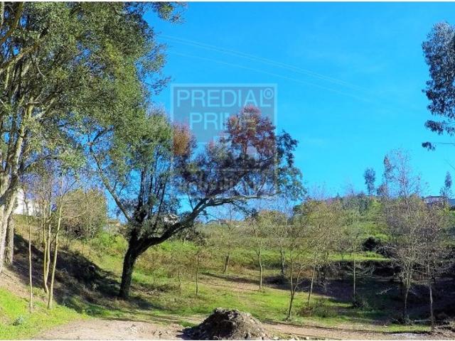 Terreno venda em Nespereira de Baixo, Oliveira De Azeméis