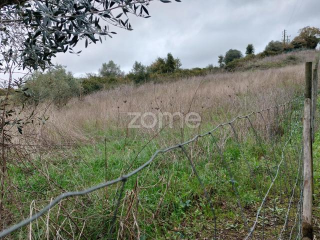 Terreno venda em Porto De Mós, Leiria