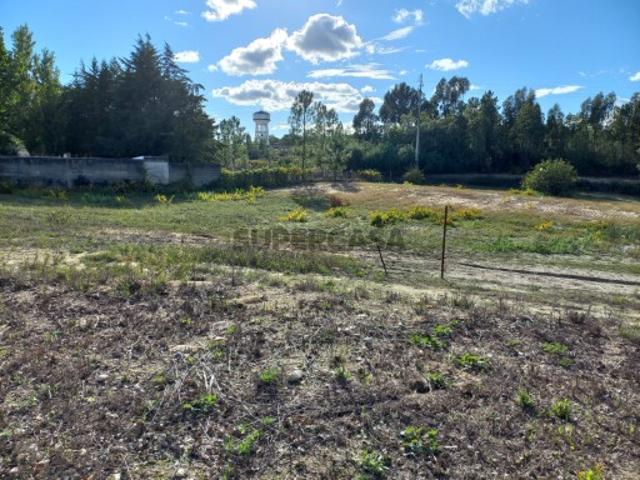 Terreno venda em Coruche, Santarém