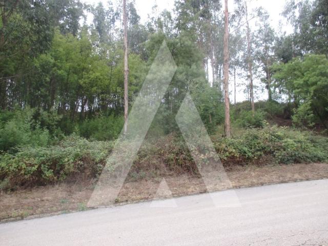 Terreno venda em Landiosa, Águeda